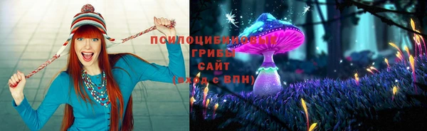 гидропоника Медногорск