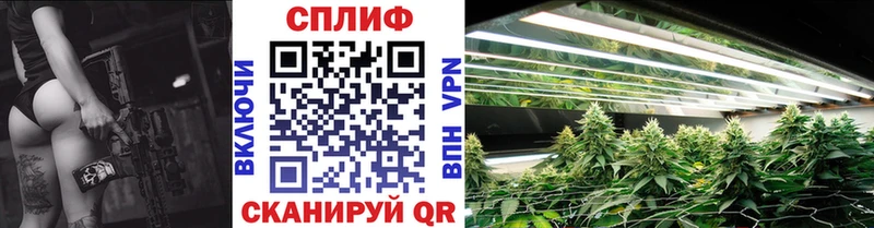 MEGA маркетплейс  Энем  Марихуана SATIVA & INDICA  цены  